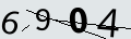 verifycode